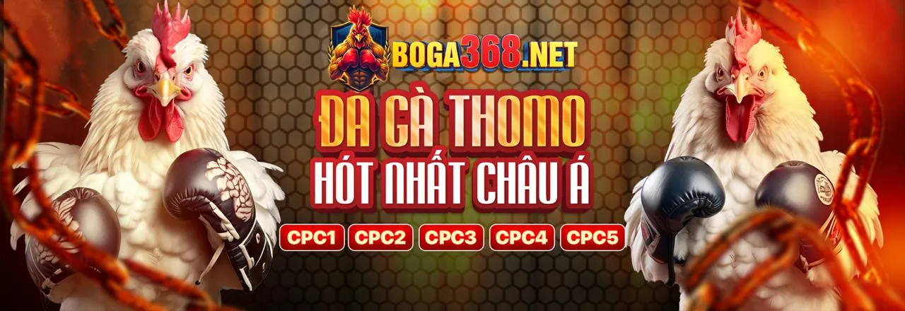 Đá gà trực tuyến b66 link vào